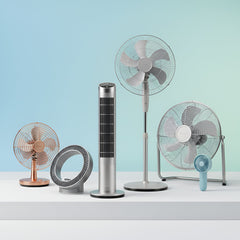 Collection image for: FANS