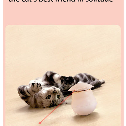 Pet products Pet Toy Cat Laser Toy Tumbler Intelligent Induction Cat Laser Rod