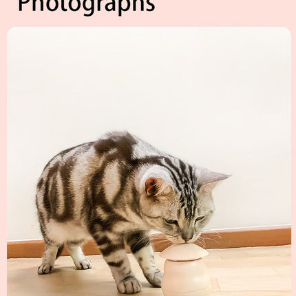 Pet products Pet Toy Cat Laser Toy Tumbler Intelligent Induction Cat Laser Rod