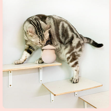 Pet products Pet Toy Cat Laser Toy Tumbler Intelligent Induction Cat Laser Rod