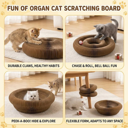 2-Pack Cat Toy Cat Scratching Board Collapsible Cat Toy Recyclable Cat Toy Interactive
