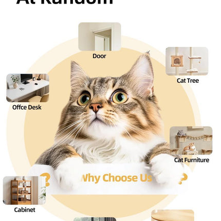 Interactive Cat Toy Electric Cat Teaser Remote Control Cat Toy Door Clip Cat