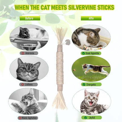 5 Cat Chew Sticks Cat Toys Cat Dental Care Natural Cat Toys Kitten Teething Toys
