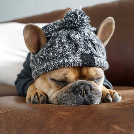 Dog Hat Knitted Windproof Winter Pom Hat, Black, L