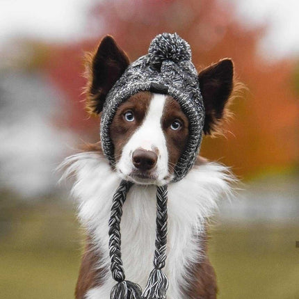 Dog Hat Knitted Windproof Winter Pom Hat, Black, S