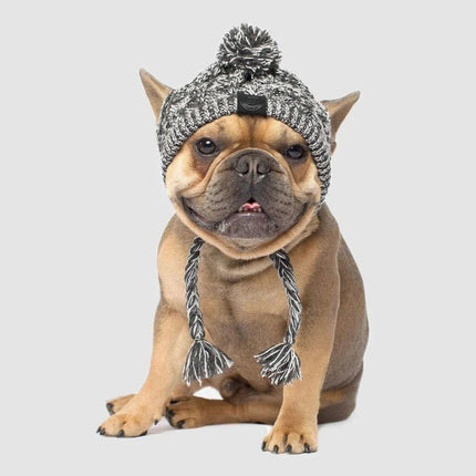 Dog Hat Knitted Windproof Winter Pom Hat, Black, S