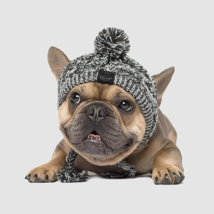Dog Hat Knitted Windproof Winter Pom Hat, Black, S