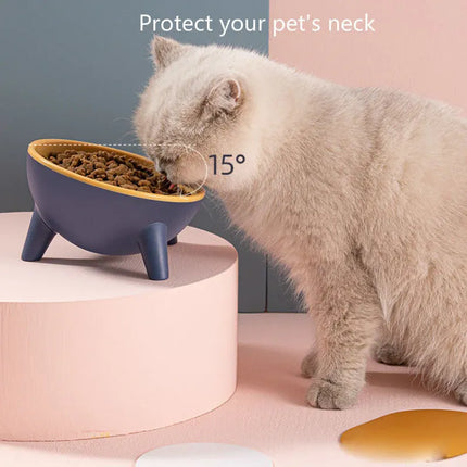 Cat and Dog Non-Breakable Bowl With Stand, Durable, Heat Resistant - Rose red