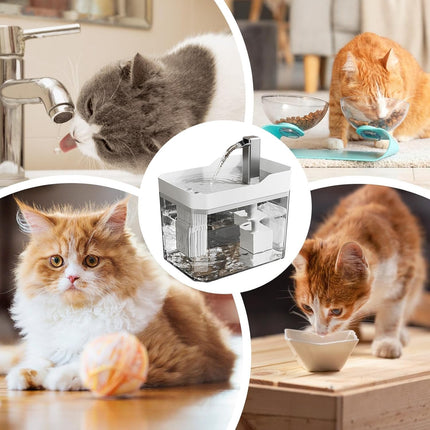 Pet Drinking Fountain - Large Capacity - Removable - 1pc