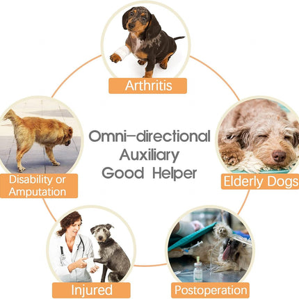 Dog Lift Harness - Adjustable Support for Medium Large Dogs, Comfortable Design with Padded Back Legs for Elderly, Injured, Arthritic, Senior, Disabled Dogs（M）