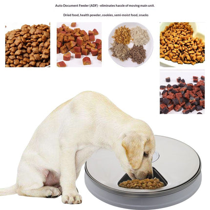 Automatic 6 Bowl Digital Timer-Controlled Pet Feeder - for Cats and Small Dogs, Wet or Dry Food  Battery Operated, BPA-Free