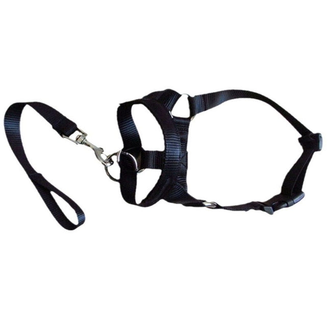 Pressure free dog training headband for traction, no traction hood, with adjustable seat belt for walking training, responsive large dog (M)Black