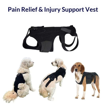 Dog Back Brace for Small Dogs - Adjustable Spinal Stability Brace, Comfortable for Senior or Less Mobile Small Dogs, Black M