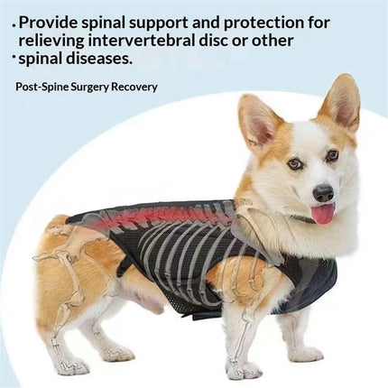 Dog Back Brace for Small Dogs - Adjustable Spinal Stability Brace, Comfortable for Senior or Less Mobile Small Dogs, Black M