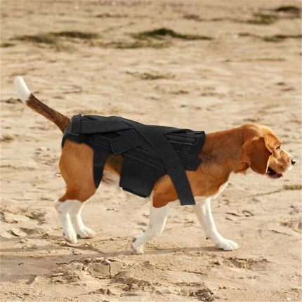 Dog Back Brace for Small Dogs - Adjustable Spinal Stability Brace, Comfortable for Senior or Less Mobile Small Dogs, Black M