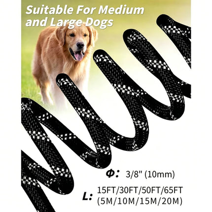 Large Dog Leash Sky Blue