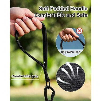 Large Dog Leash Sky Blue