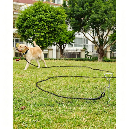 Large Dog Leash Orange 01