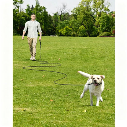 Large Dog Leash Sky Blue 01