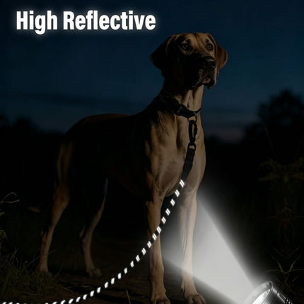 Large Dog Leash Sky Blue 01
