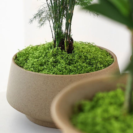 Dark Green Artificial Moss 50×50cm