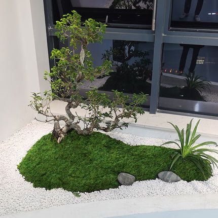 Dark Green Artificial Moss 50×100cm