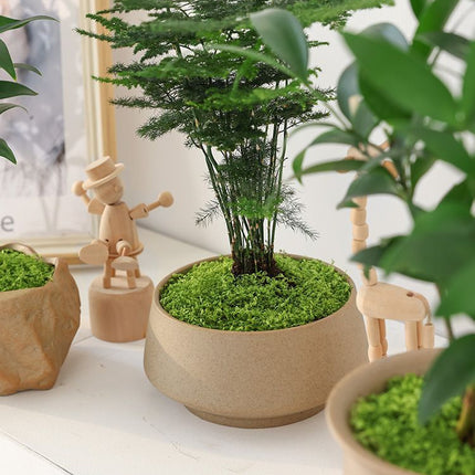 Dark Green Artificial Moss 50×100cm