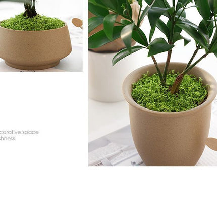 Light Green Artificial Moss 50×100cm