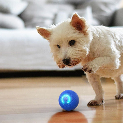 2Pcs 5CM Automatic Moving Ball Toys for Cats USB Rechargeable Interactive Cat Bouncing Toys