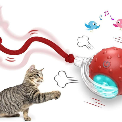 Motion Activate Interactive Cat Toy Rechargeable Smart Rolling Ball with Rope Red
