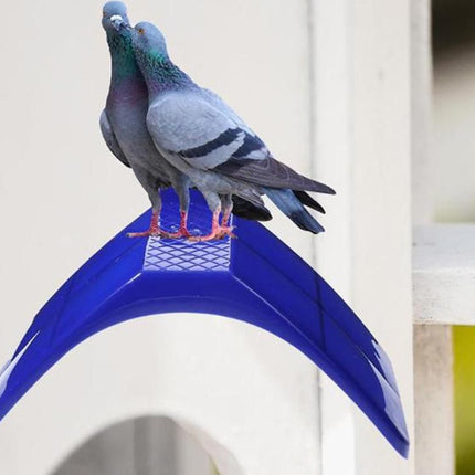 10 Pack Pigeon Dove Rest Stand Frame Dwelling Perches Roost Bird Supplies Set