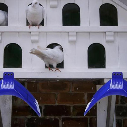 10 Pack Pigeon Dove Rest Stand Frame Dwelling Perches Roost Bird Supplies Set