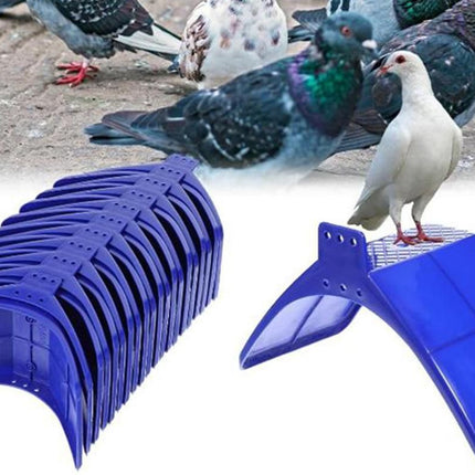 10 Pack Pigeon Dove Rest Stand Frame Dwelling Perches Roost Bird Supplies Set