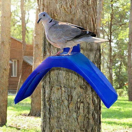 10 Pack Pigeon Dove Rest Stand Frame Dwelling Perches Roost Bird Supplies Set