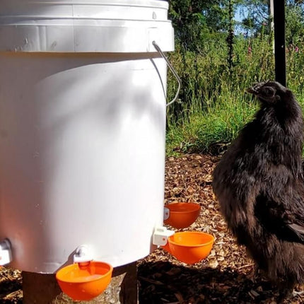 10Pcs Chicken Water Cup Feeder Automatic Drinking Bowl Poultry Cup-Orange