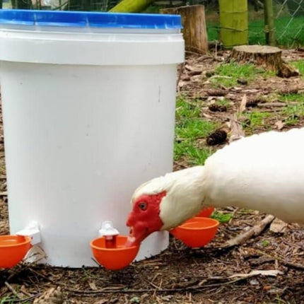 10Pcs Chicken Water Cup Feeder Automatic Drinking Bowl Poultry Cup-Orange