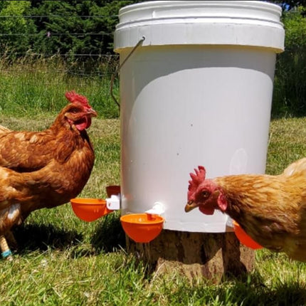 10Pcs Chicken Water Cup Feeder Automatic Drinking Bowl Poultry Cup-Orange