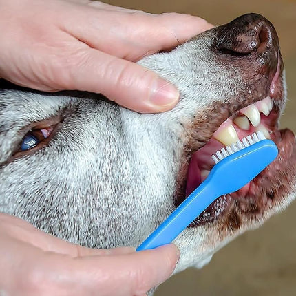 10 Pcs Pet Toothbrush Dual-End Long Handle for Dogs Cats