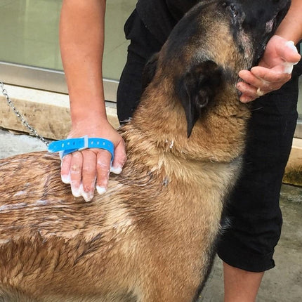 Multi-Functional Pet Shower Brush with Hose, Silicone Massage Sprayer for Dog Cat Bath Cleaning