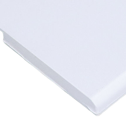 2pcs Skimmer Assembly Plastic Replacement Swimming Pool Gate Weir Baffle for PENTAIR