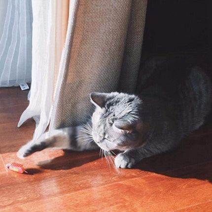 Pet Cat Automatic Toy Cat Toys for Cat Kitty Small Dog Random Color Entertaining Exercise Gift