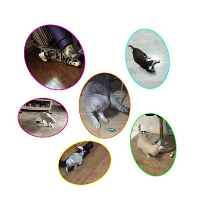 Pet Cat Automatic Toy Cat Toys for Cat Kitty Small Dog Random Color Entertaining Exercise Gift