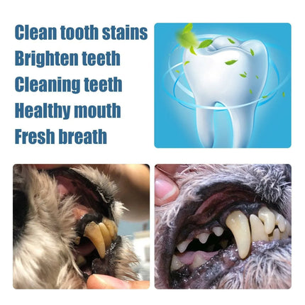 Pet Dental Cleaning Pencil for Dogs Cats Remove Calculus Oral Care Tool Pen