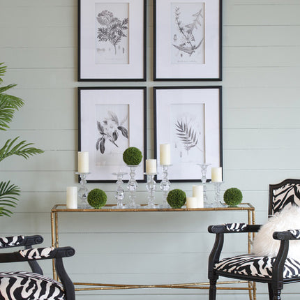 Set 4 Flora & Fauna Framed Prints 76cm