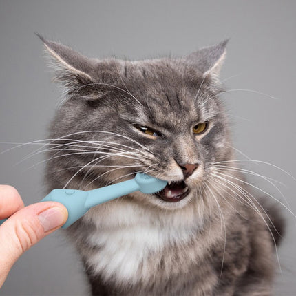 6 x Silicone Pet Toothbrush (3 Fish shape and 3 Bone shape) Blue Gentle Food-Grade Silicone Pet Toothbrush - Promotes Healthy Teeth & Gums for Dogs & Cats