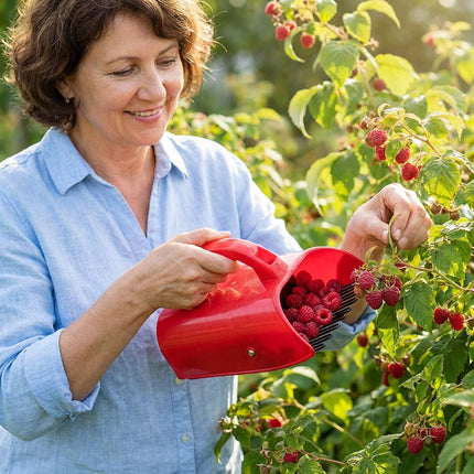 Blueberry Picker Tool with Handle, Berry Harvesting Scoop for Blueberries and Raspberries, Handheld Fruit Picking Basket Garden Tool for Easy Berry Collection